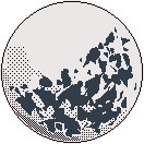 小智Freeman