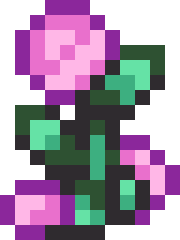 Fairy Rose
