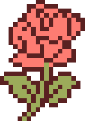 玫瑰花